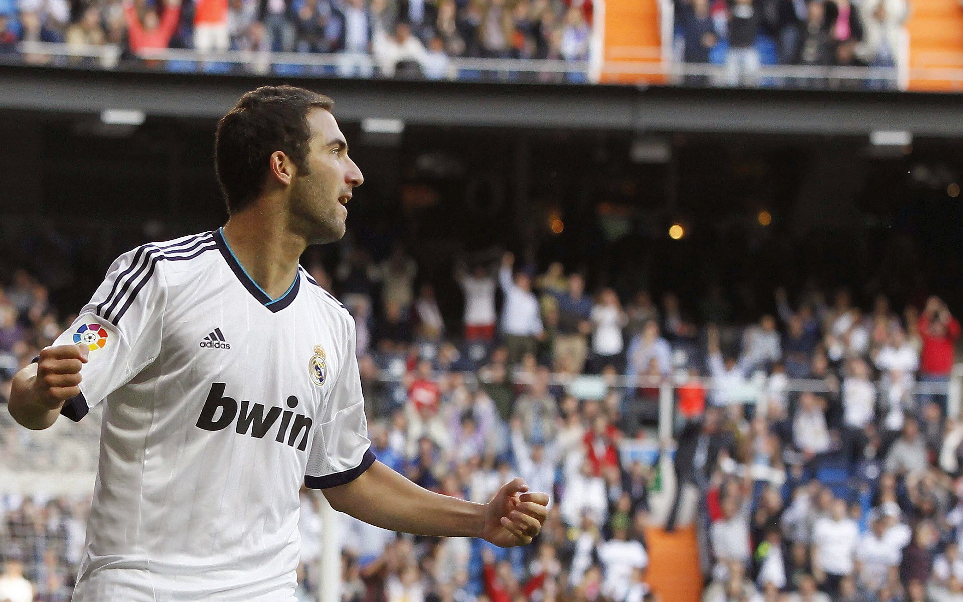 开云电竞登录-伊朗骑手卡尔·阿里·阿尔达比在巴黎奥运会上与“Porthos Maestro WH Z”马匹携手参赛，表现出色。